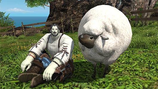 Add Island Sanctuary page Add Island Sanctuary page
